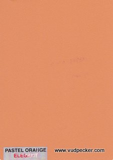 Pastel Orange-Elegant